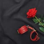 圈文-玫瑰与手铐