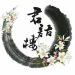 好奇自己的属性